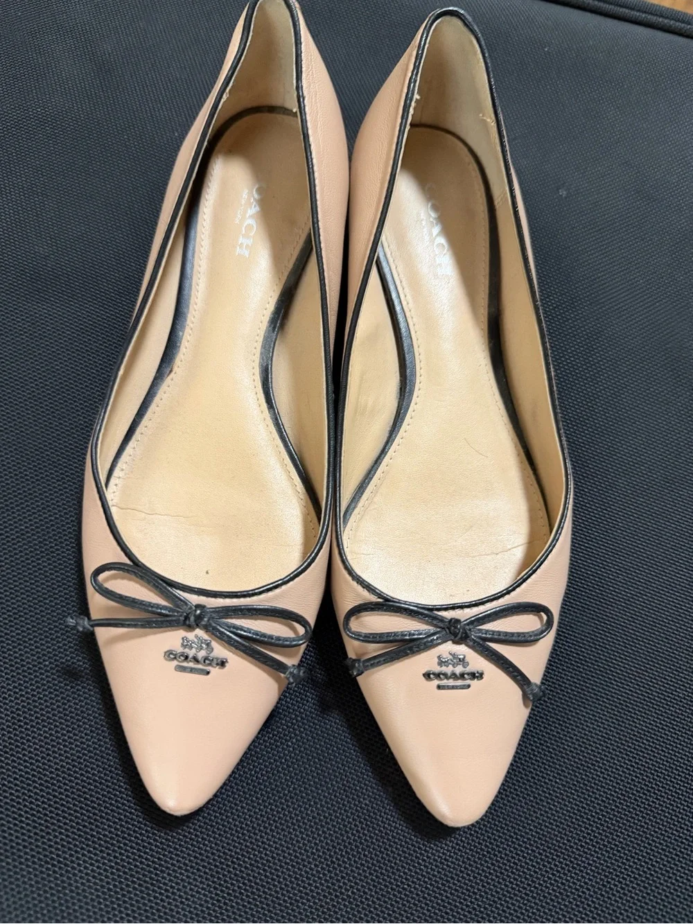 Coach women pointed